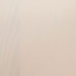 Klon kolor drewna sosnowego